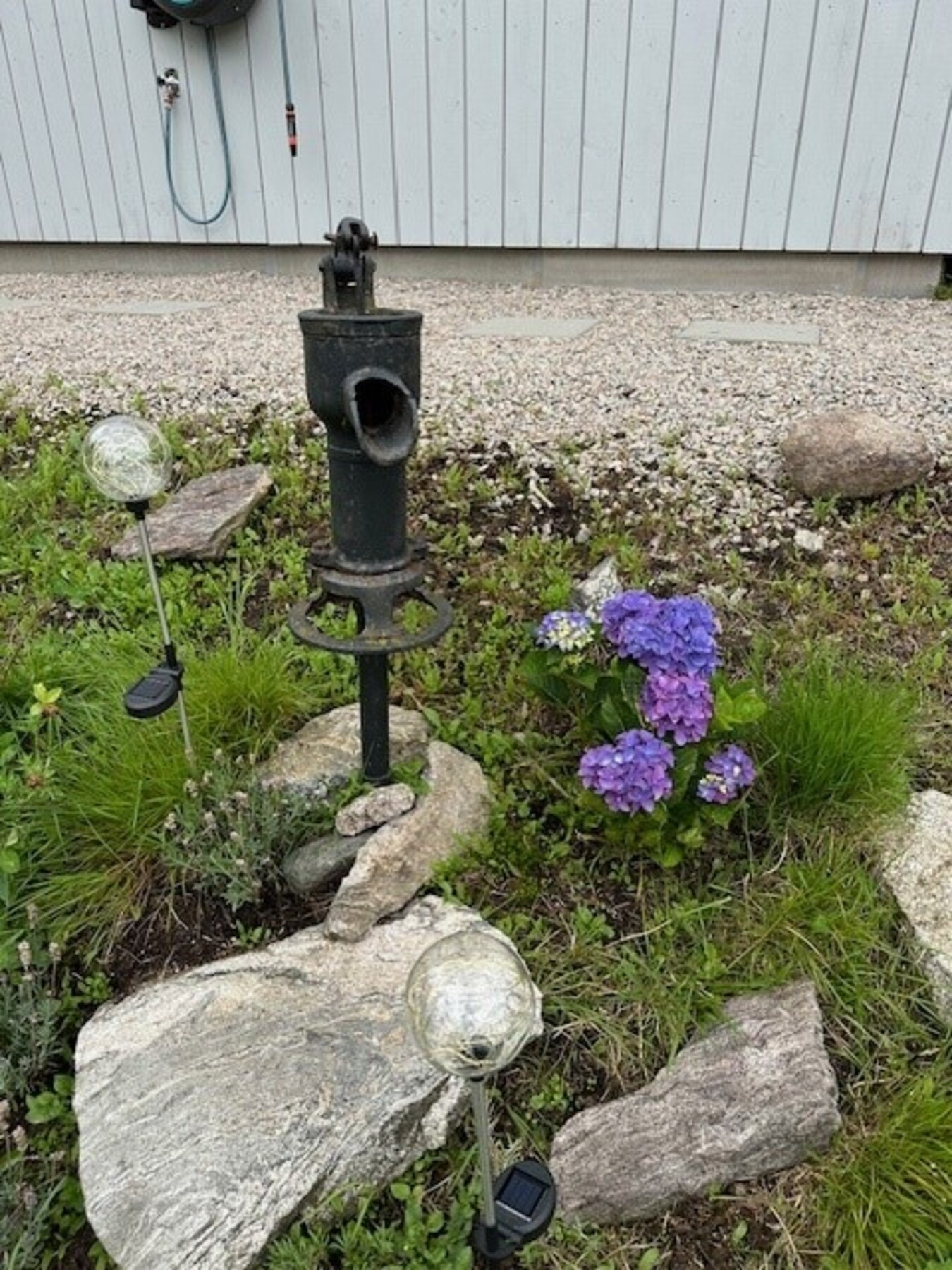 Selgers private sommerbilder. Galleribilde