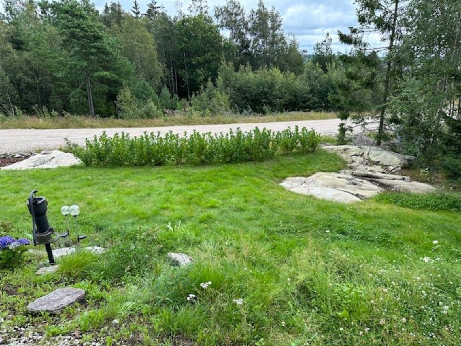 Selgers private sommerbilder. Galleribilde