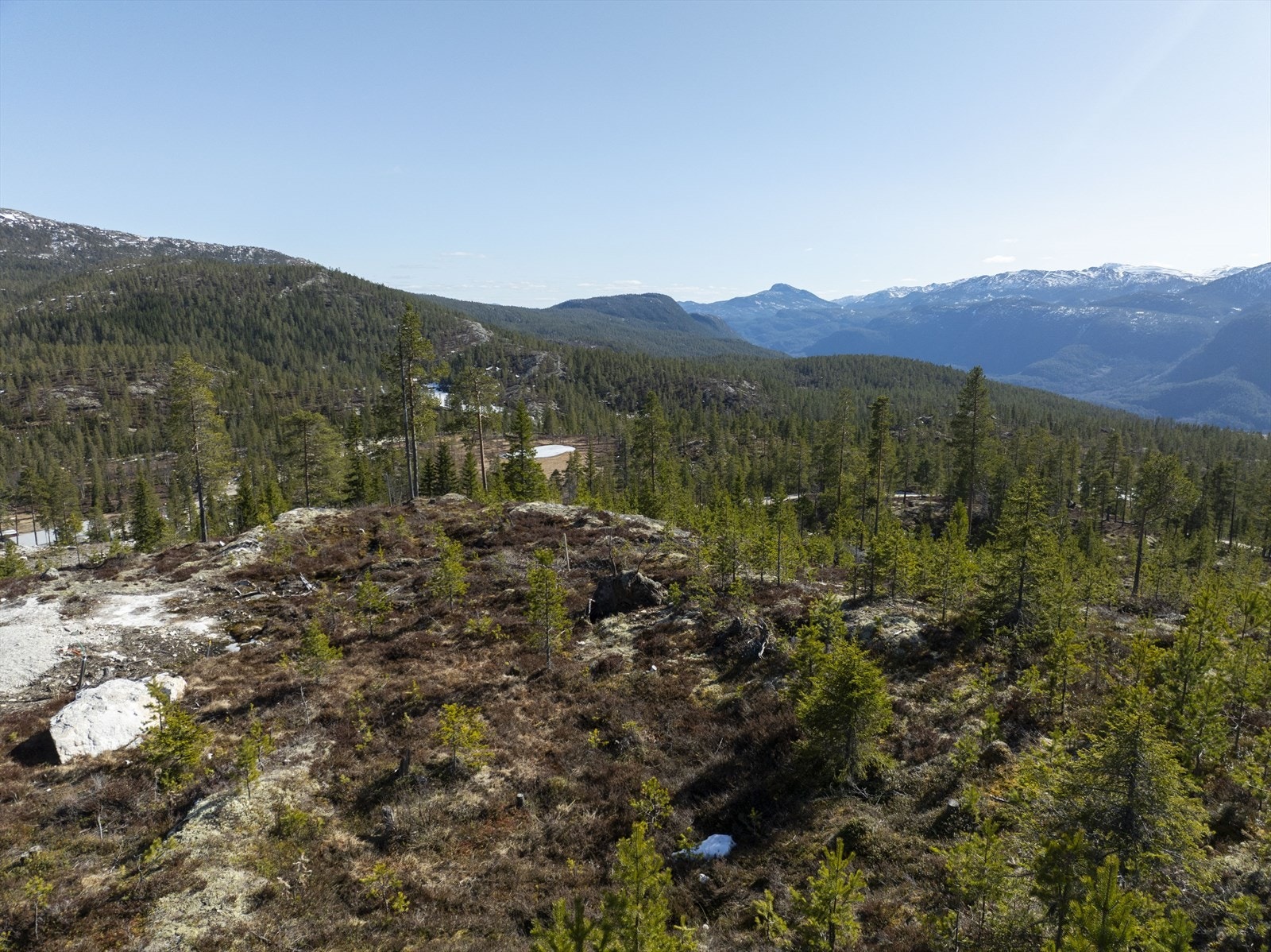 I det fjerne ser man Hestgjuvnatten og Høgevarde Galleribilde