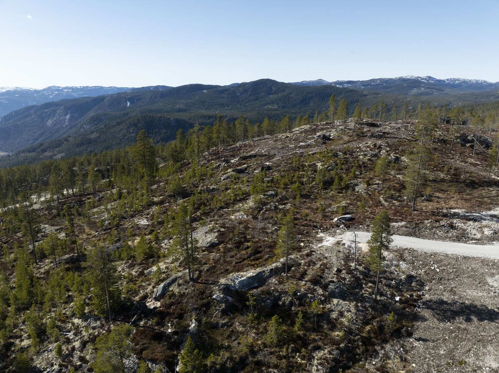 Umiddelbar nærhet til langrennsløyper og turterreng Galleribilde