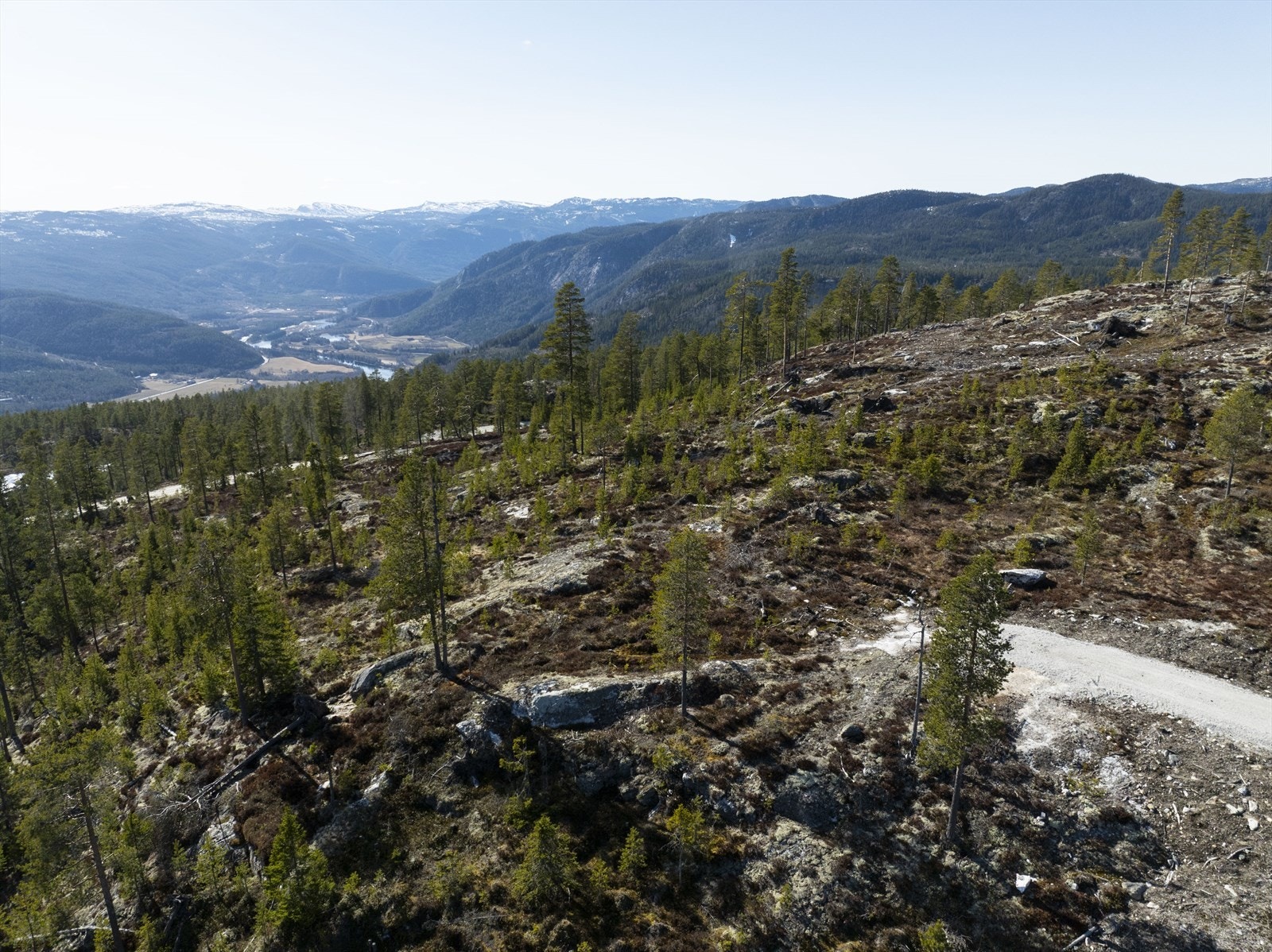 Nedre Sprena sen 67_10.jpgMAn ser også langt oppover Hallingdal Galleribilde