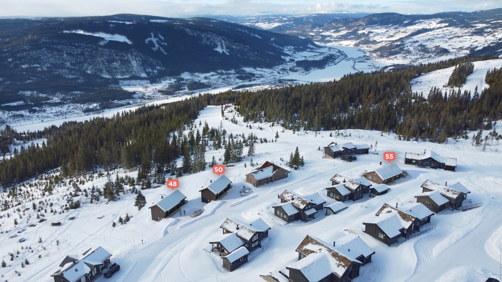 Feltet ligger flott til i lia med optimale solforhold og med umiddelbar nærhet til tilfartsløyper Galleribilde