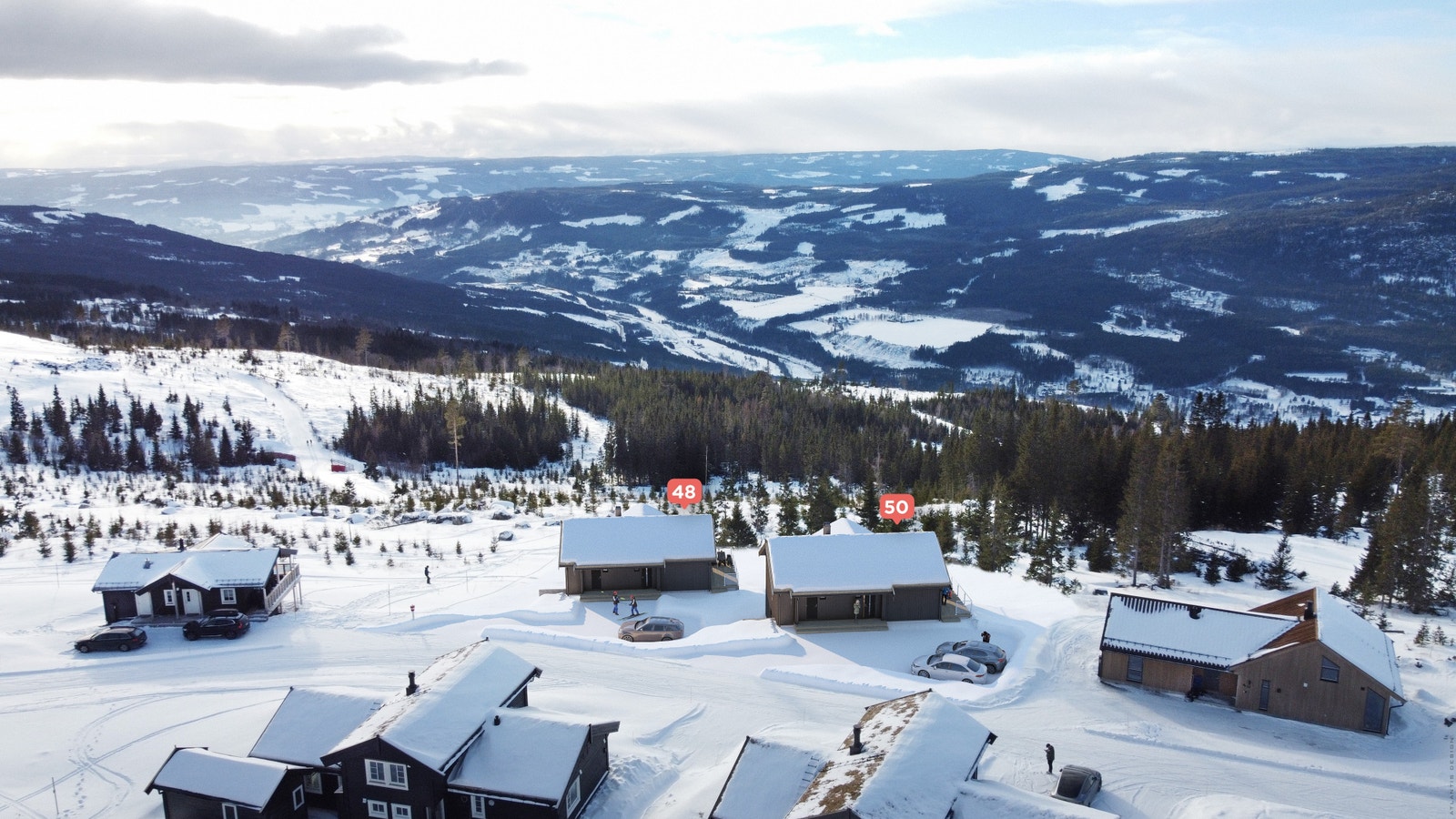 Feltet ligger flott til i lia med optimale solforhold og med umiddelbar nærhet til tilfartsløyper Galleribilde