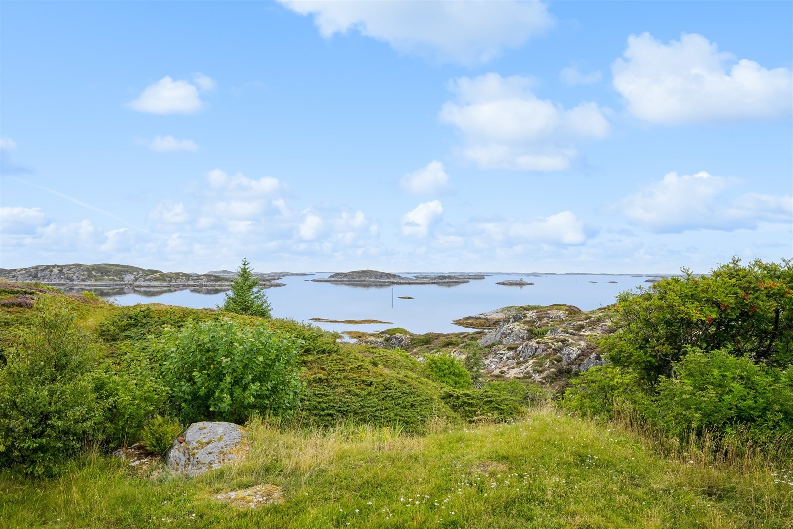 Fantastisk utsikt fra egen tomt. Galleribilde