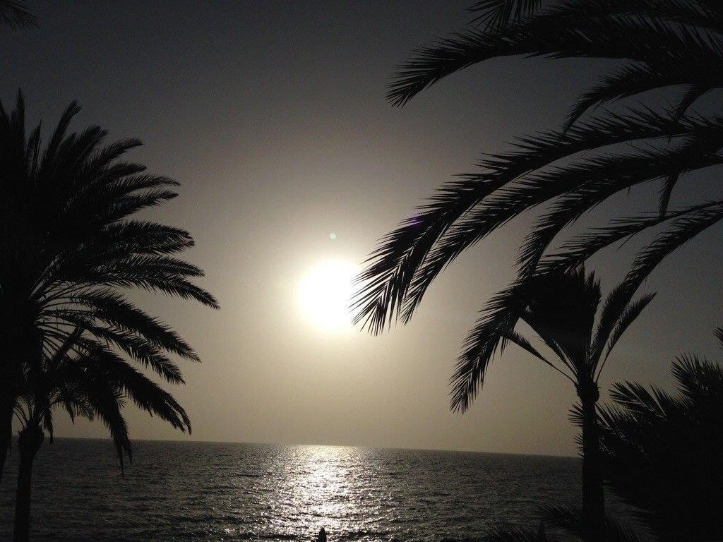 Velkommen til privat visning Galleribilde