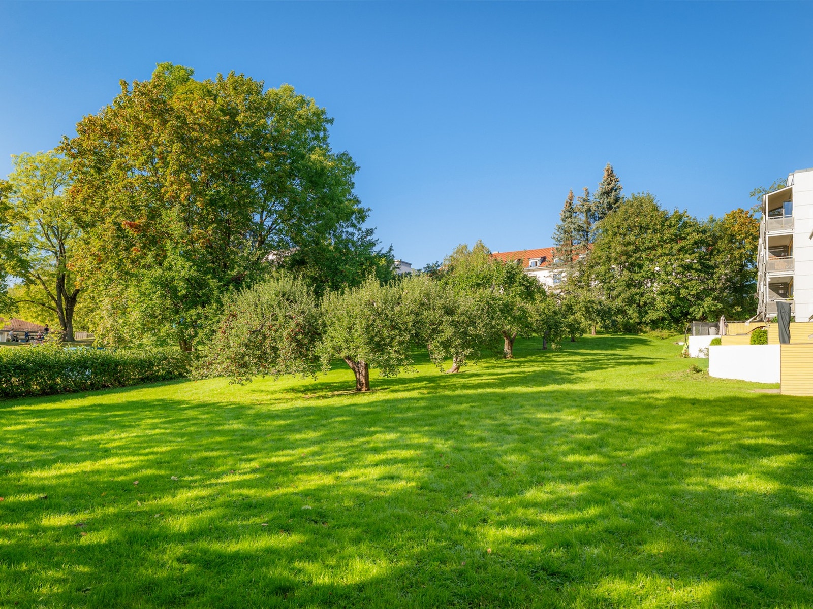 Frodig og parkmessig opparbeidet felleshage. Galleribilde