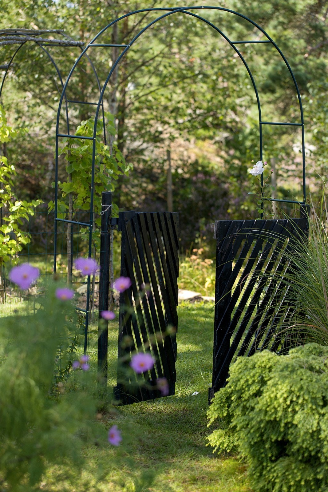 (fjerne?) Galleribilde