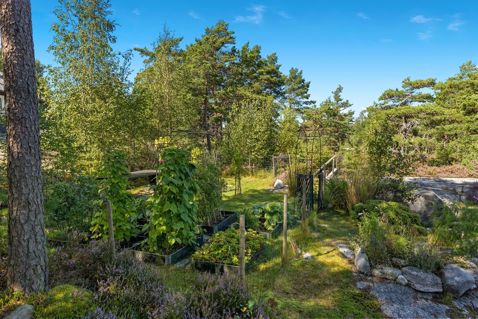 Egen urtehage - perfekt for hageentusiasten Galleribilde