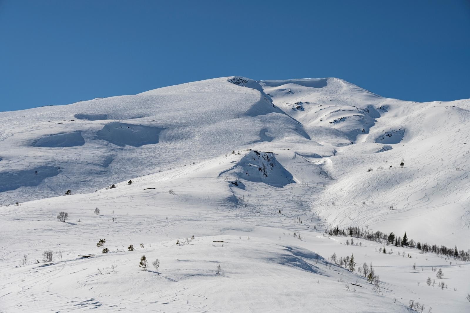 Strandafjellet er viden kjent for ypperlige løyper og ikke minst frikjøring. Galleribilde