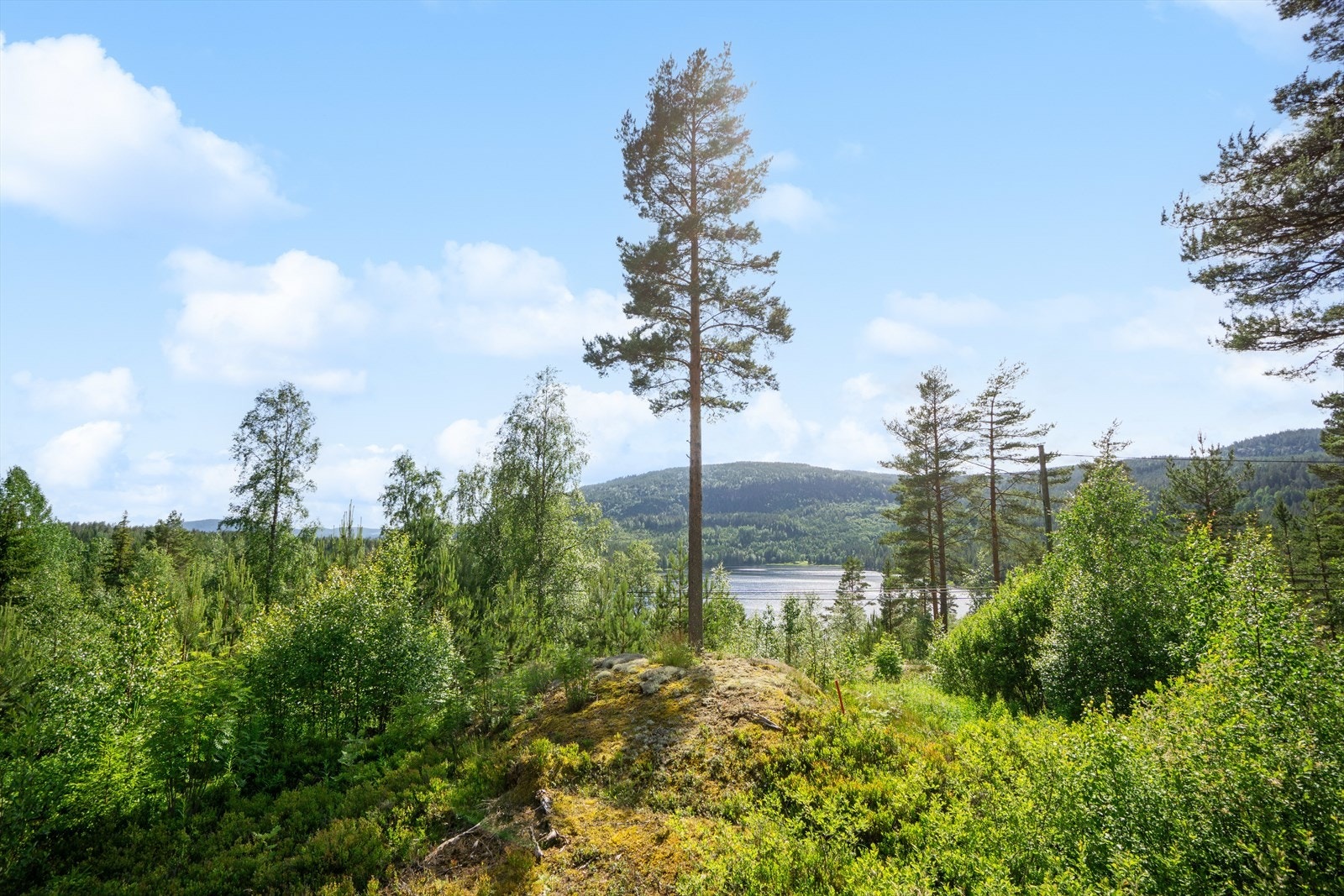 Utsikten fra tomta sydvestover Galleribilde