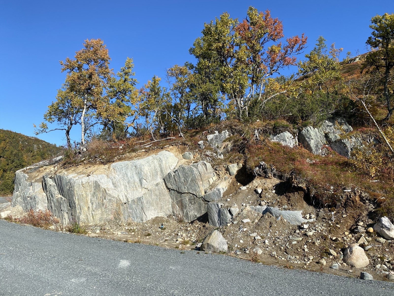 Tomten har en utnyttelsesgrad på 30% Galleribilde