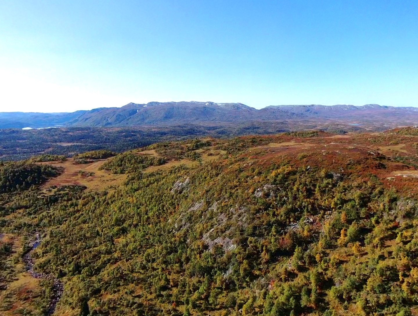 På Rauland har du ubegrenset med turmuligheter hele året. Her kan tu ta turen rett ut fra hyttedøra. Galleribilde