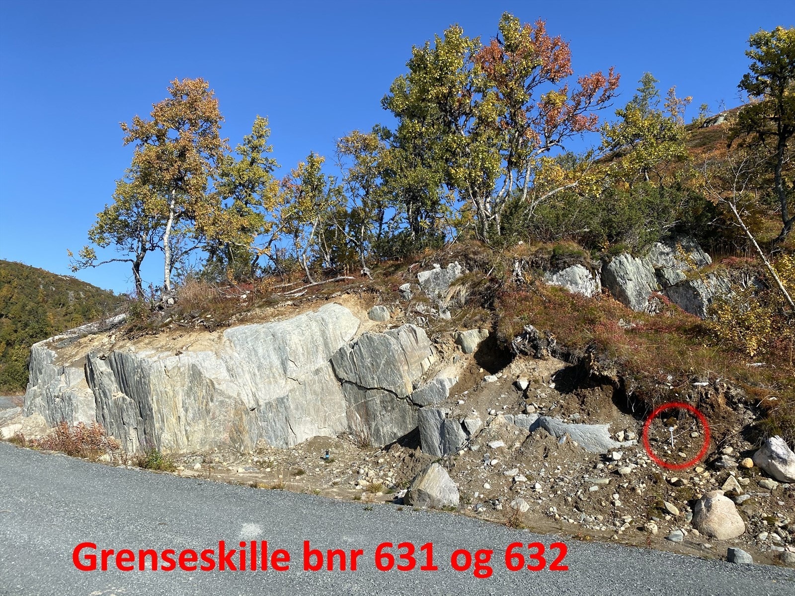 Grensebolt Galleribilde