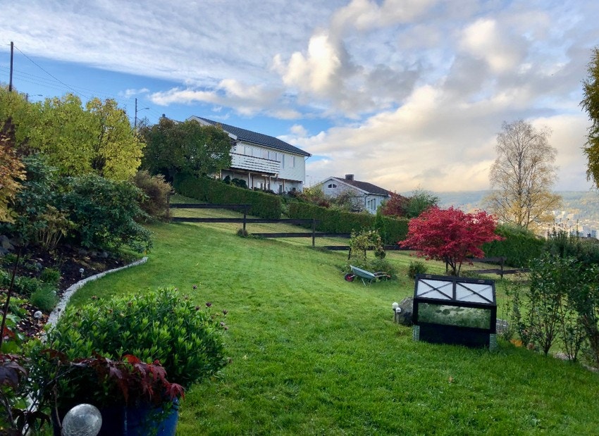 Frodig hage - selger private bilde. Galleribilde