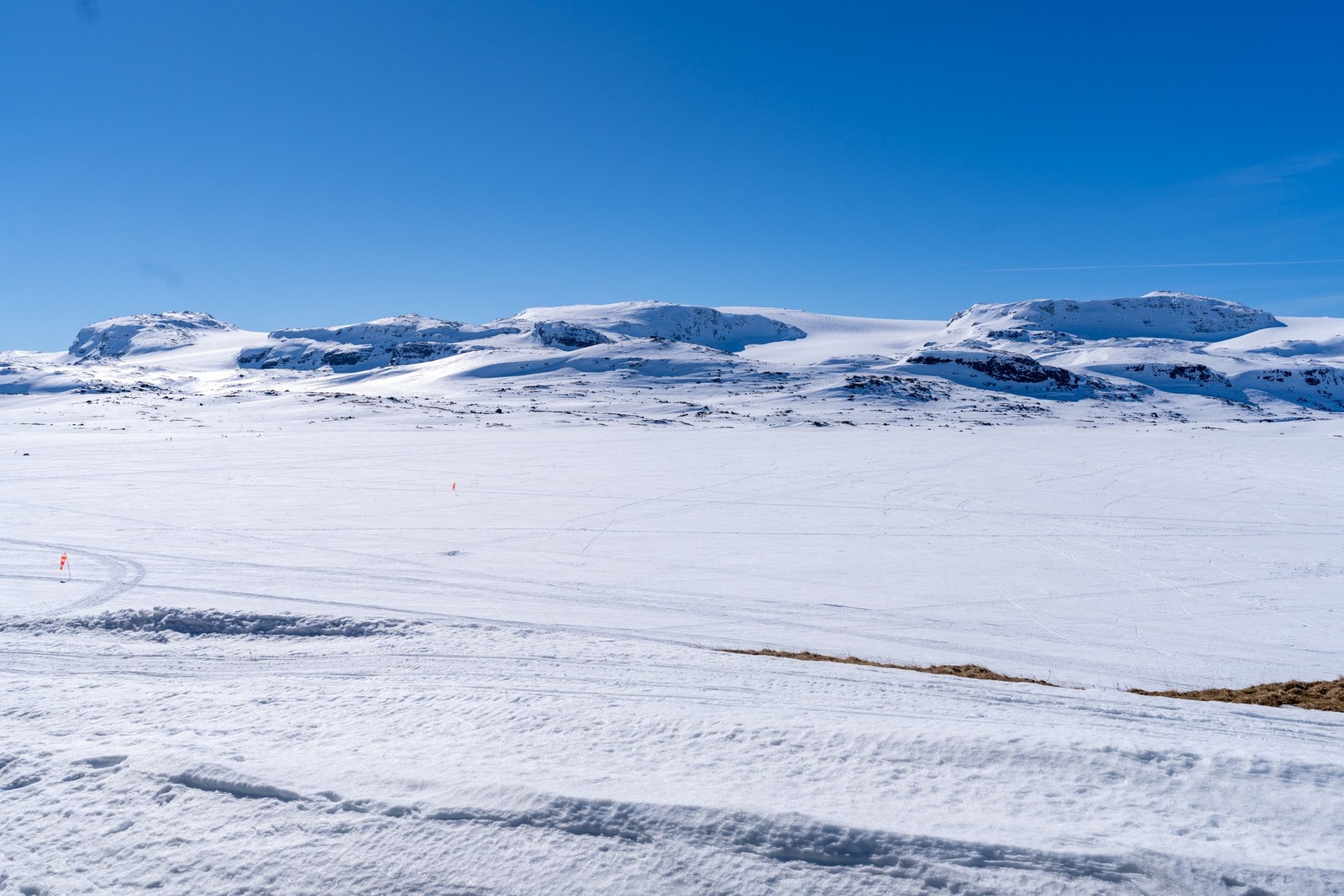 Nyt synet av Hardangerviddas vakre natur. Galleribilde