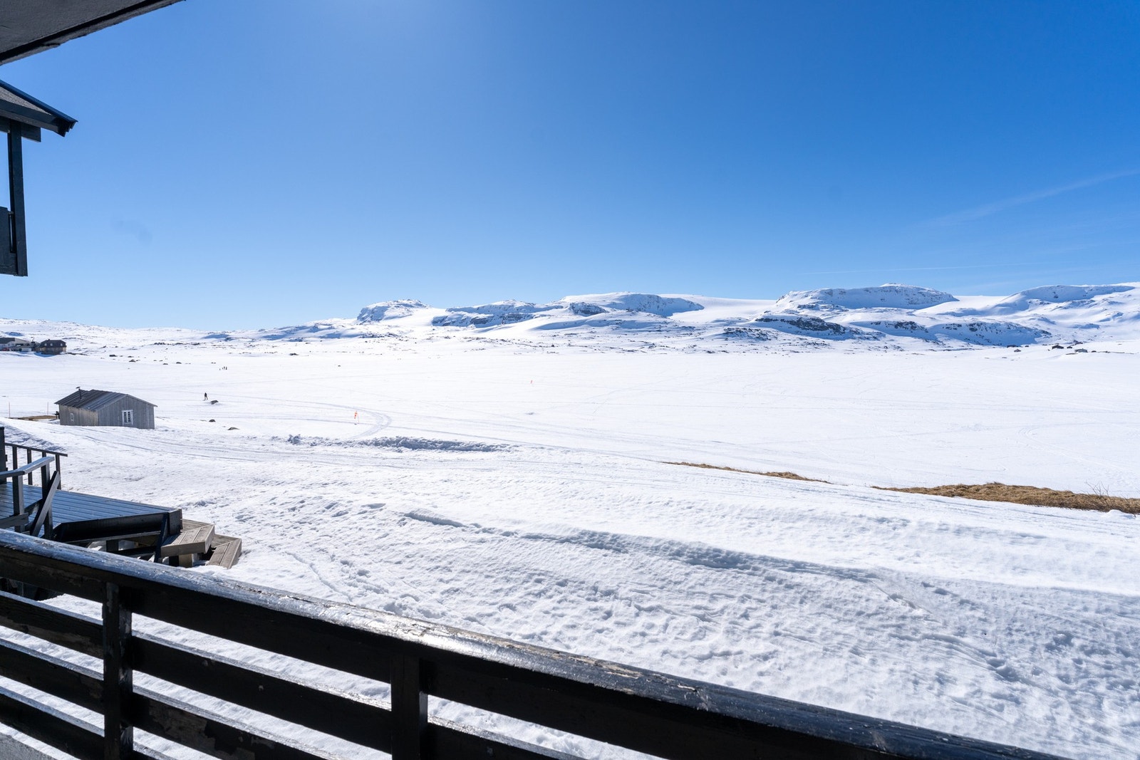 Bare se her - dette skue går du ikke lei! Galleribilde