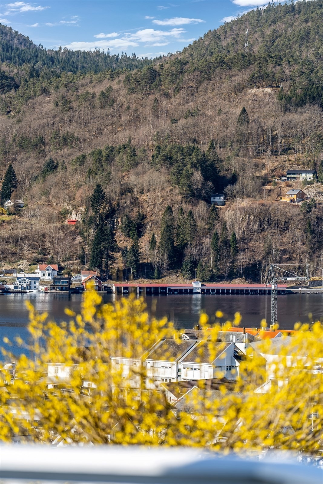 Flott utsikt Galleribilde