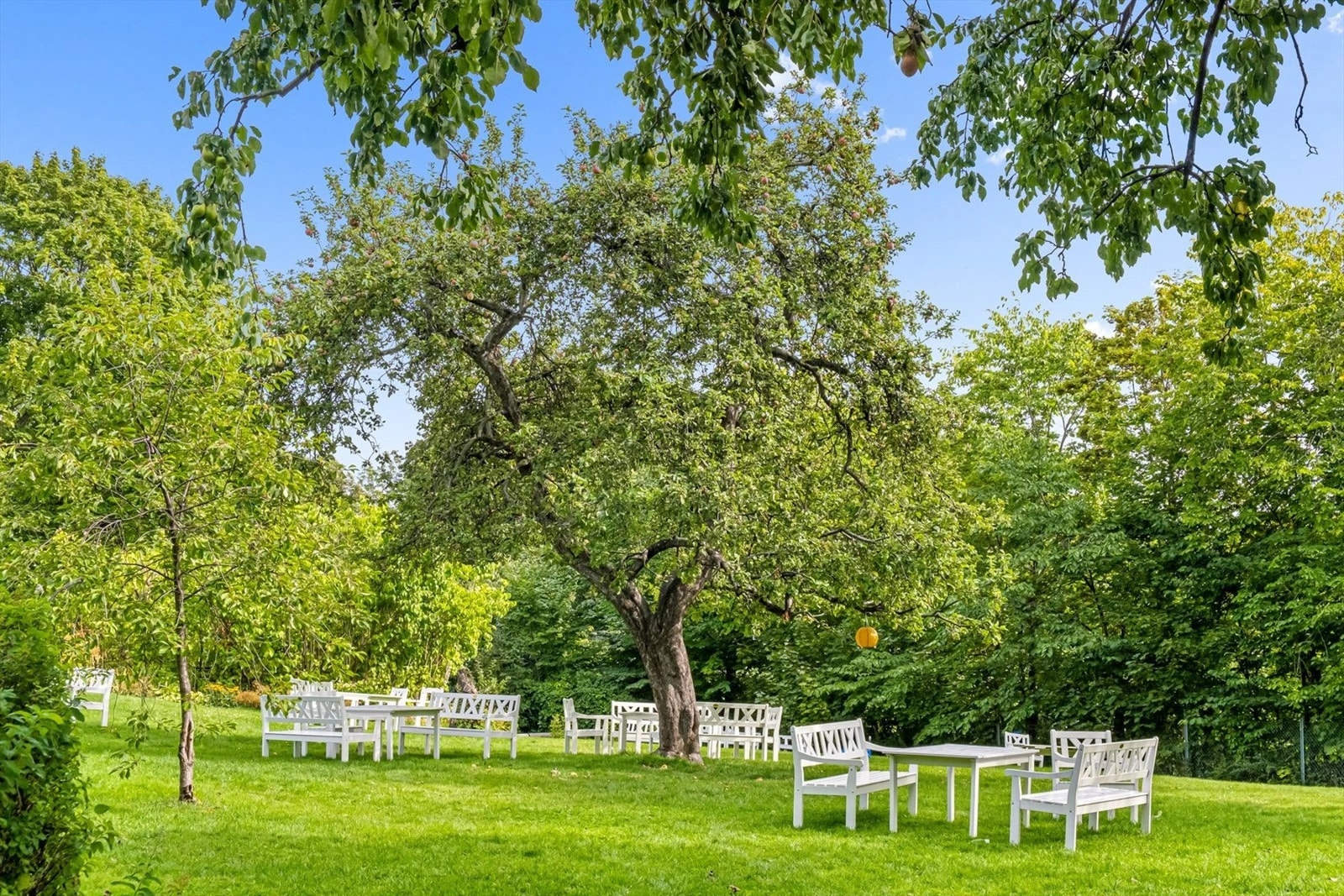 Som beboer får du tilgang til et idyllisk, grønt fellesområde, kjent som "Edens hage", perfekt for solrike dager og sosiale sammenkomster. Galleribilde