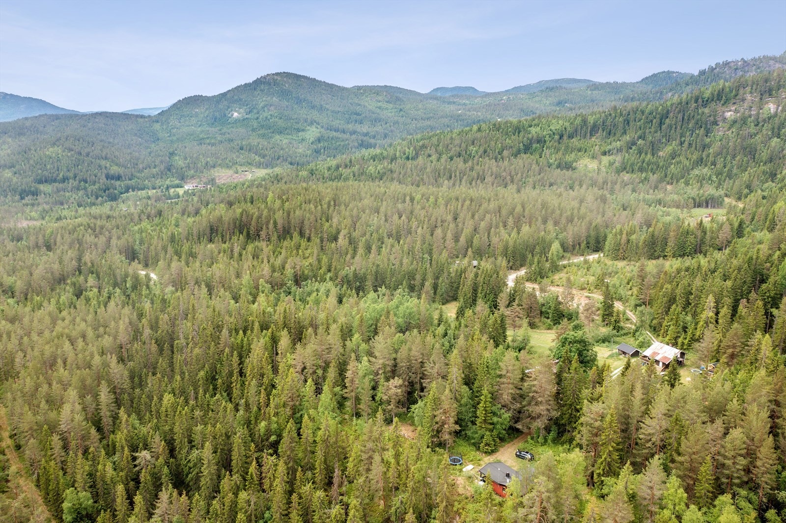 En sjarmerende hytte i et rolig område omringet av flott skogsterreng Galleribilde