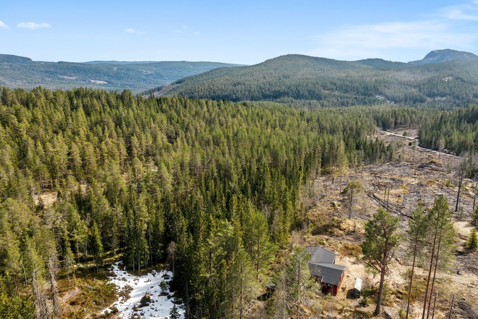 I området rundt hytta er det mulighet for flotte naturopplevelser. Galleribilde