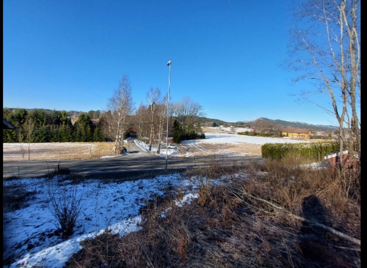 Selgers bilde Galleribilde