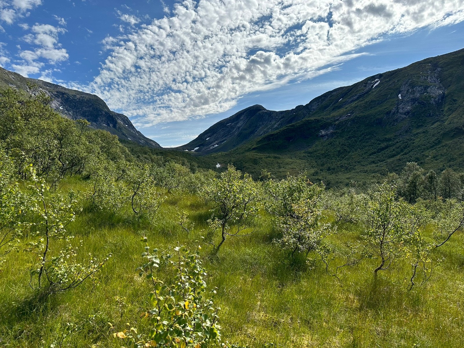 Eiendommen har stølsrett på Skryklingestøylen som ligger rett sør for tunet - her går det grusveg helt opp på stølen som kan benyttes av grunneierne Galleribilde