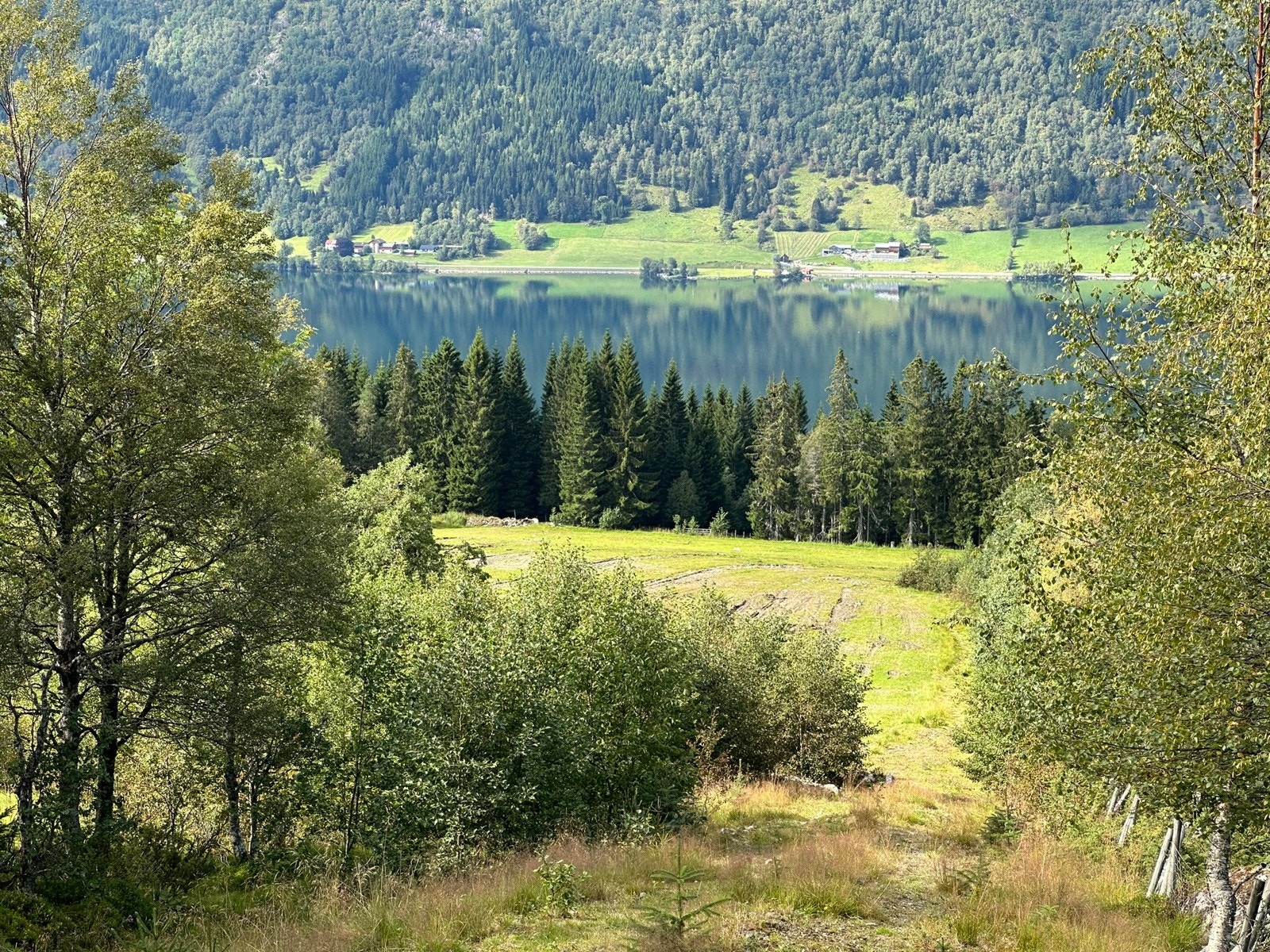 Ca 400m. sør for tunet er det en teig med fulldyrka jord på ca. 25daa. Galleribilde