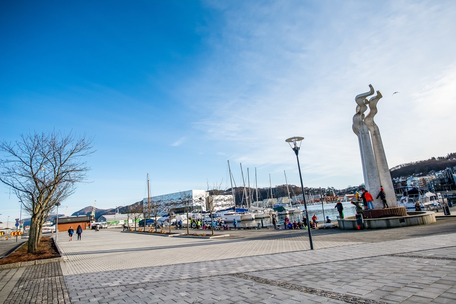 Nærområde. Galleribilde