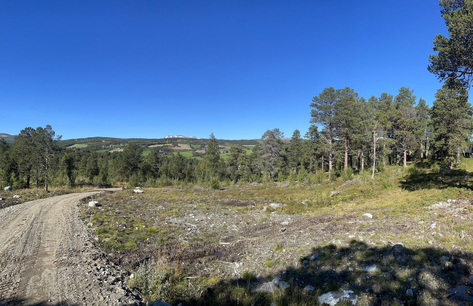 Bilder fra tomtefeltet Galleribilde