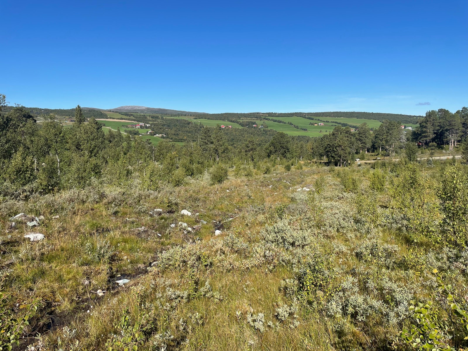 Bilder fra tomtefeltet Galleribilde