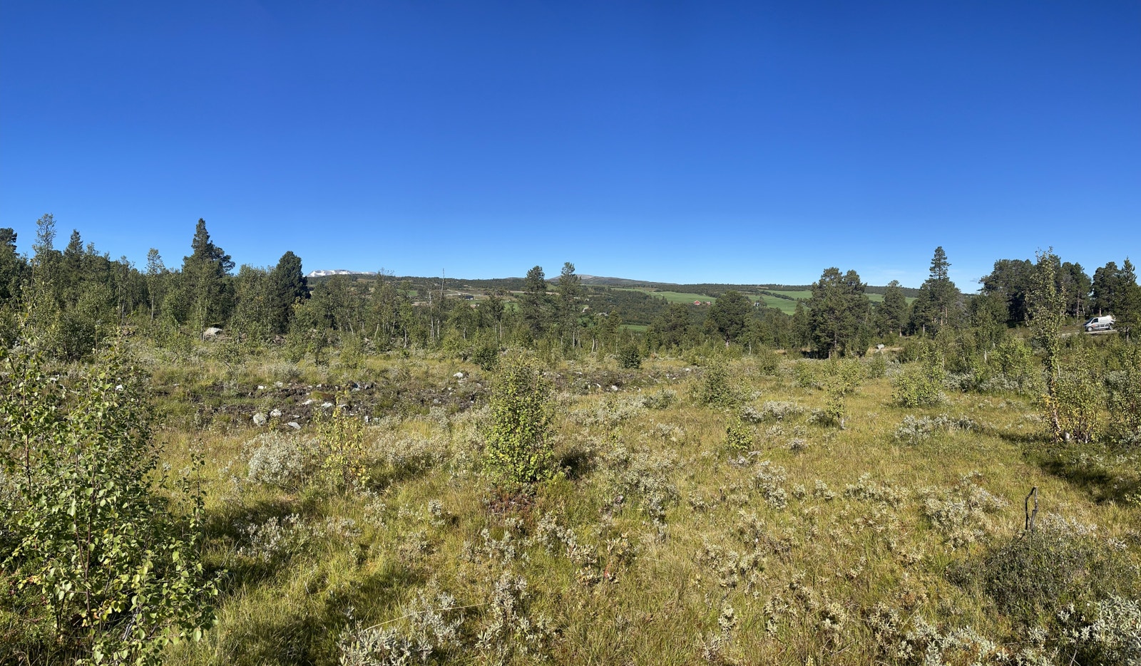 Bilder fra tomtefeltet Galleribilde