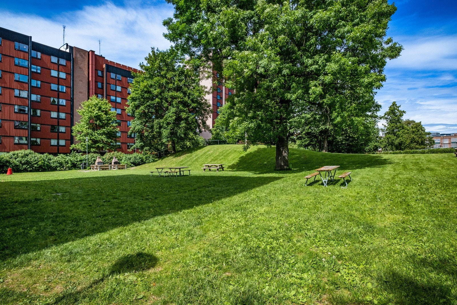 Her bor du naturnært og sentralt. Galleribilde