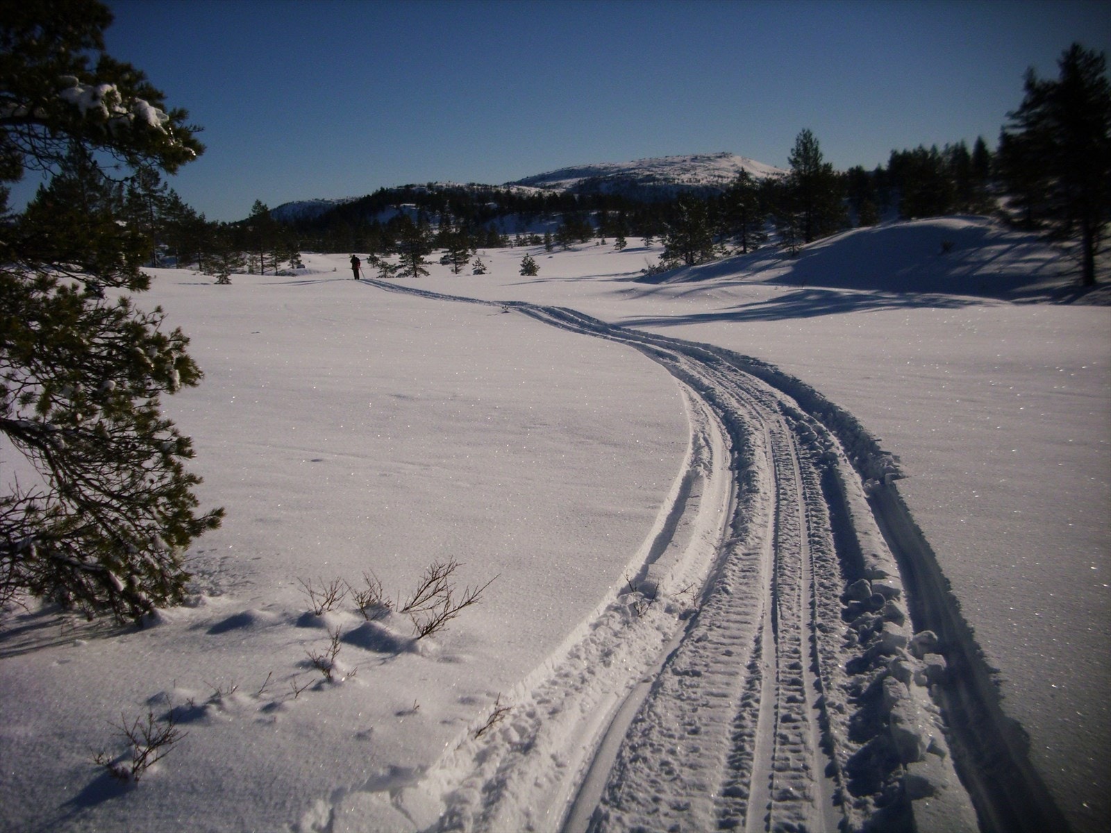 Flotte turmuligheter i område Galleribilde