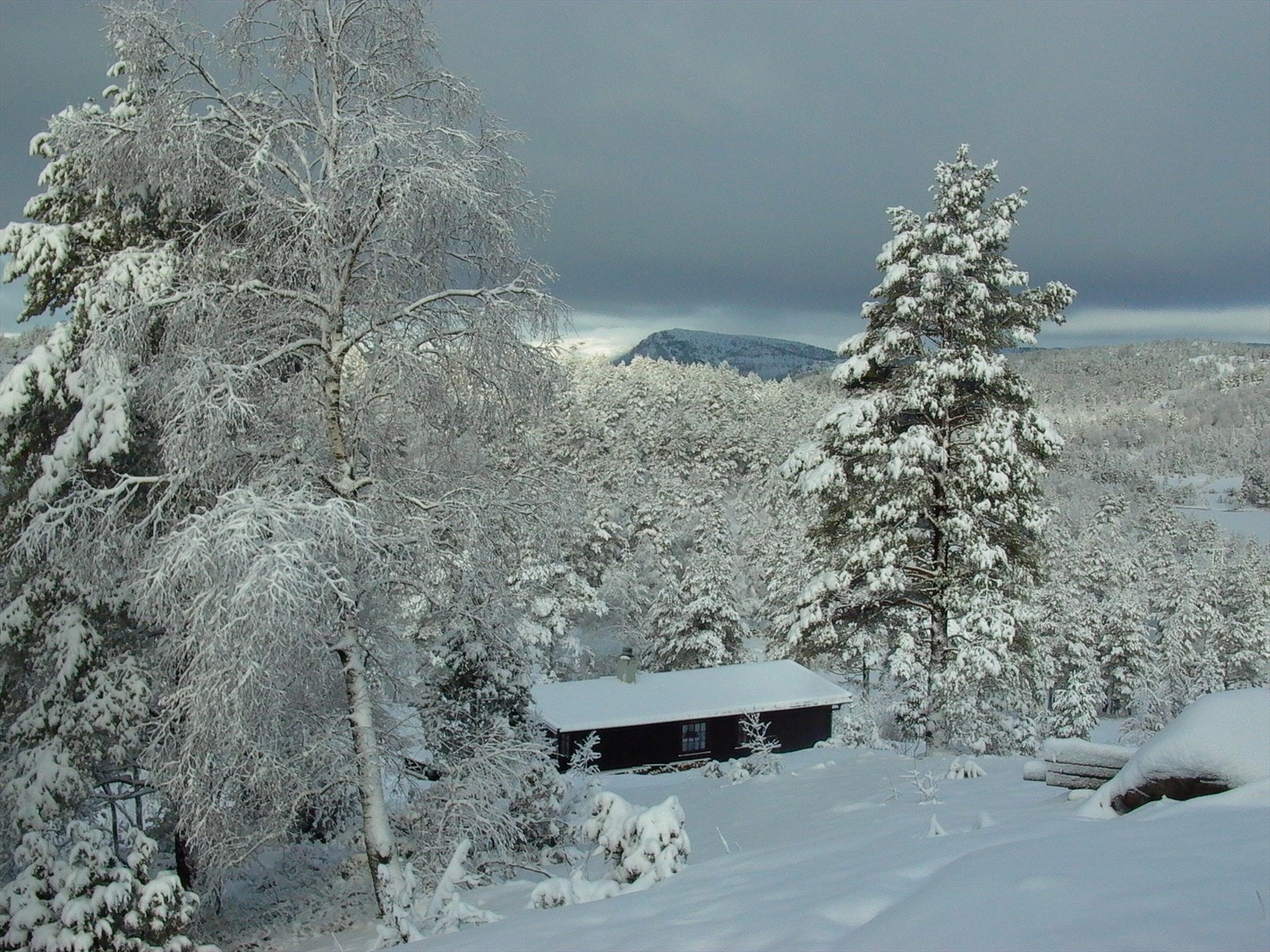 Utsiktbilde fra eiendommen Galleribilde