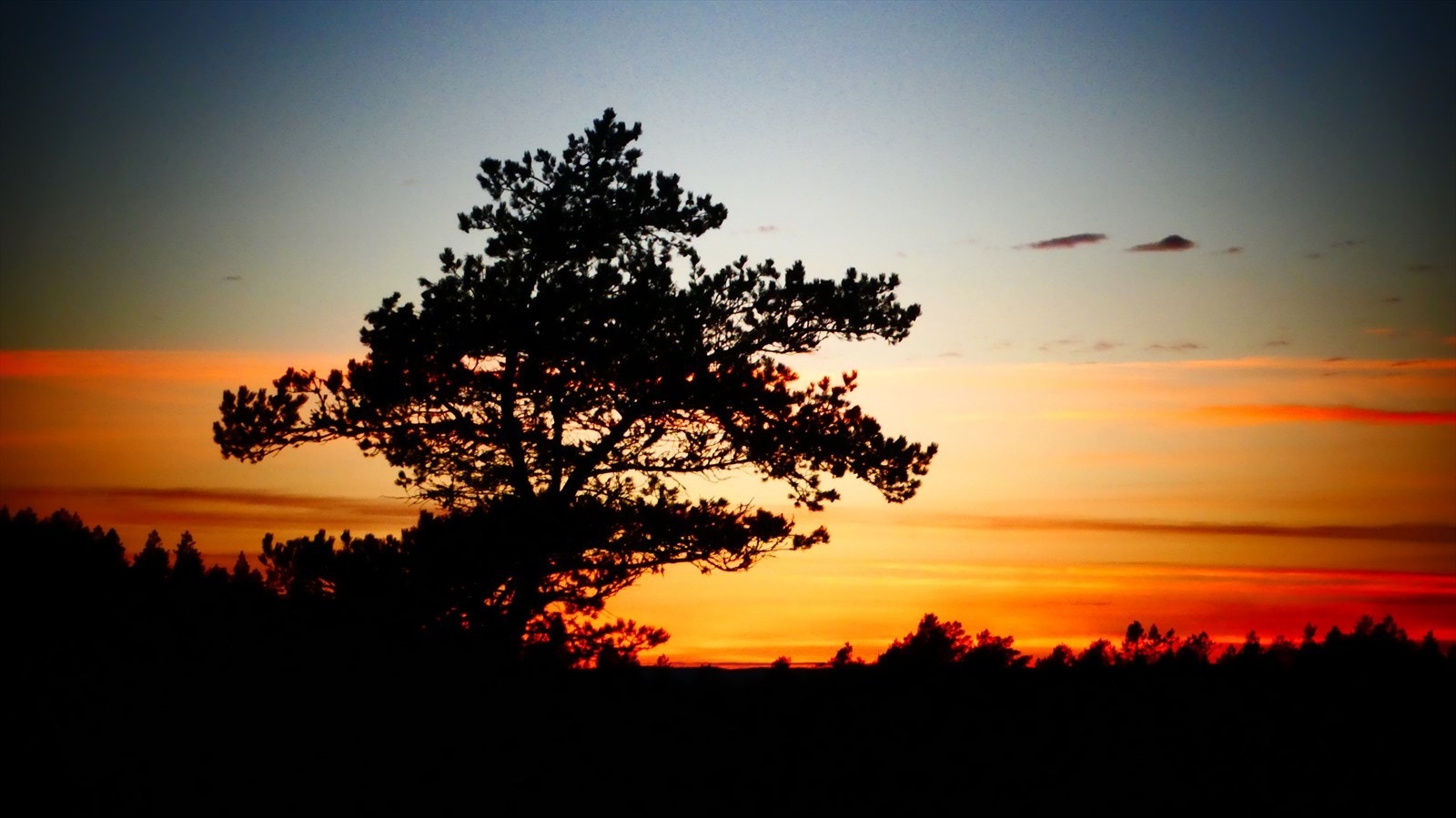 Nydelig solnedgang fra eiendommen! Galleribilde