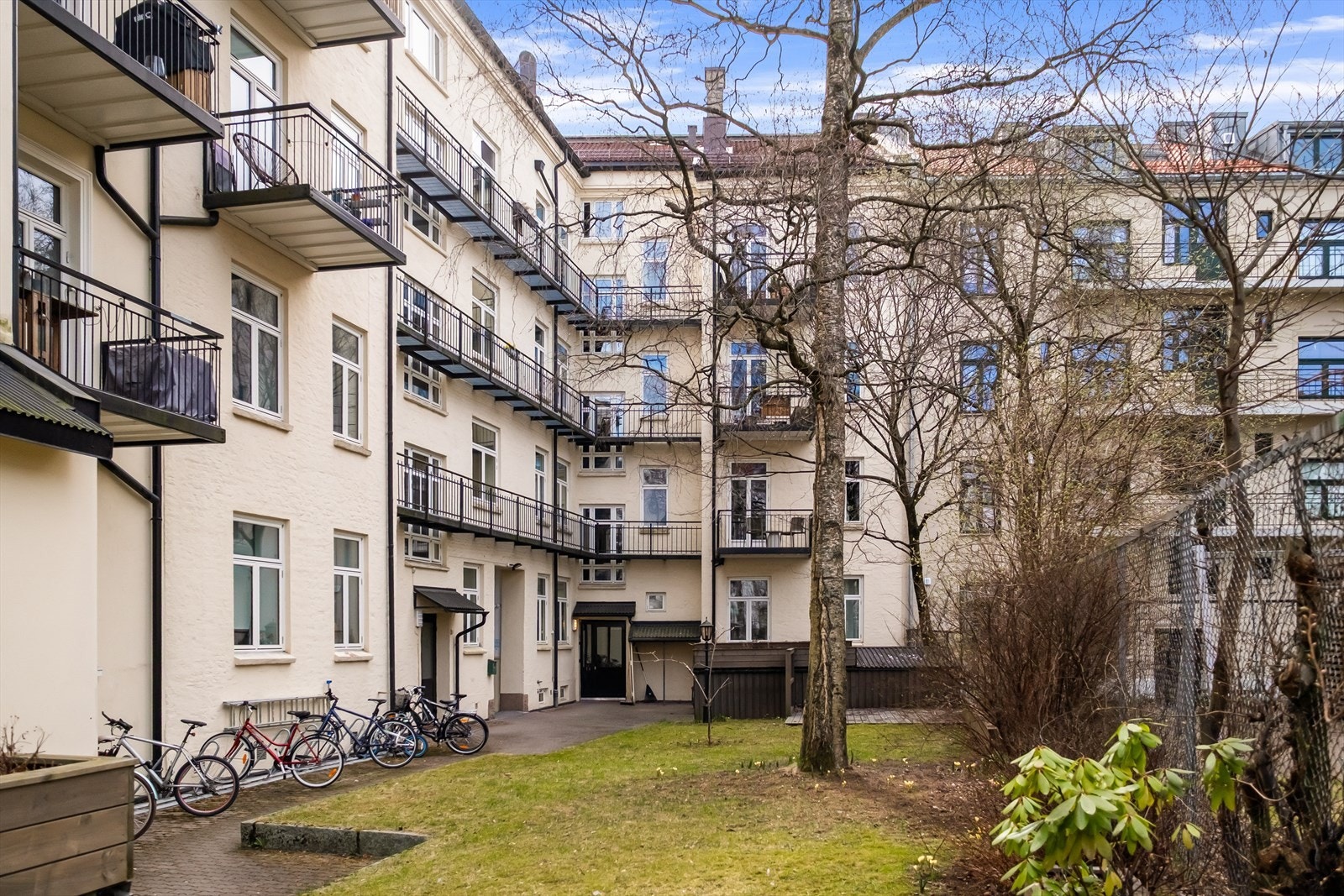 Velholdt og grønn bakgård Galleribilde