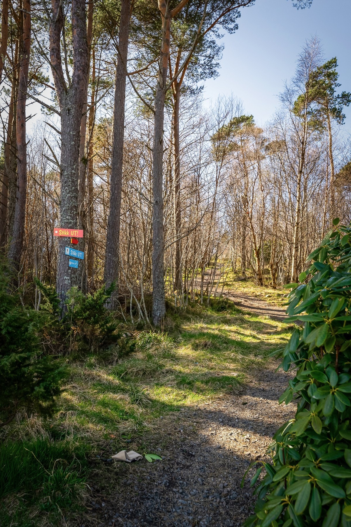Turstier ved leiligheten. Galleribilde