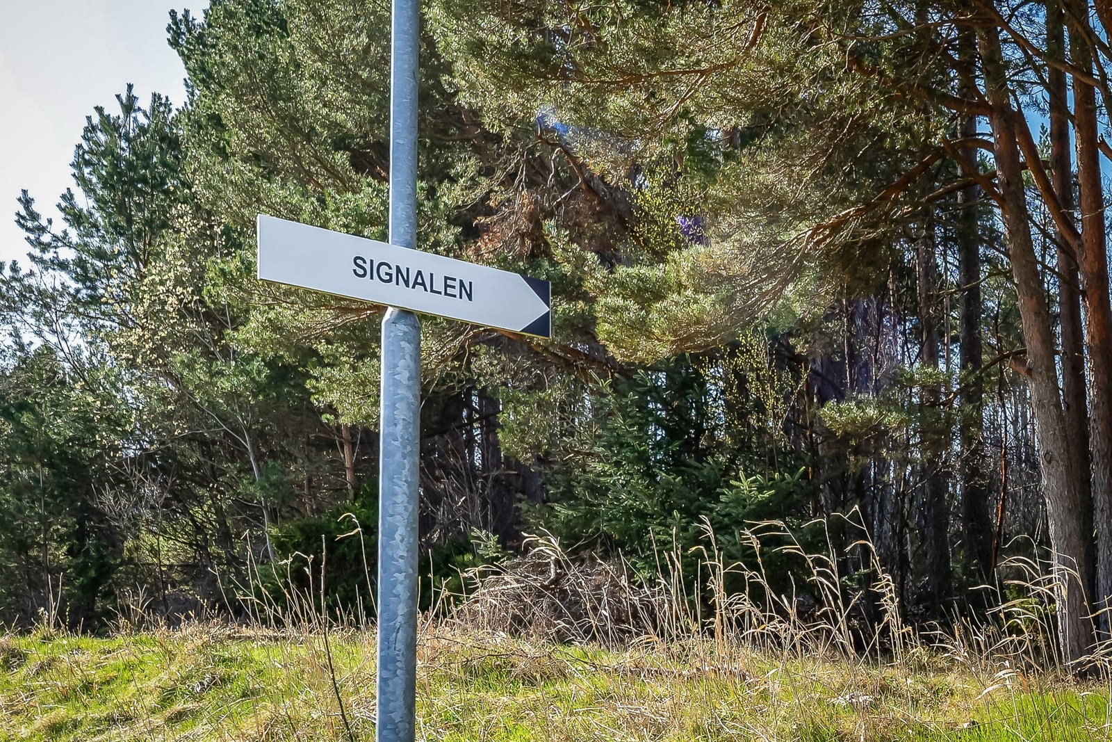 Ta på turskoene og nyt fine turstier fra ytterdøren. Galleribilde