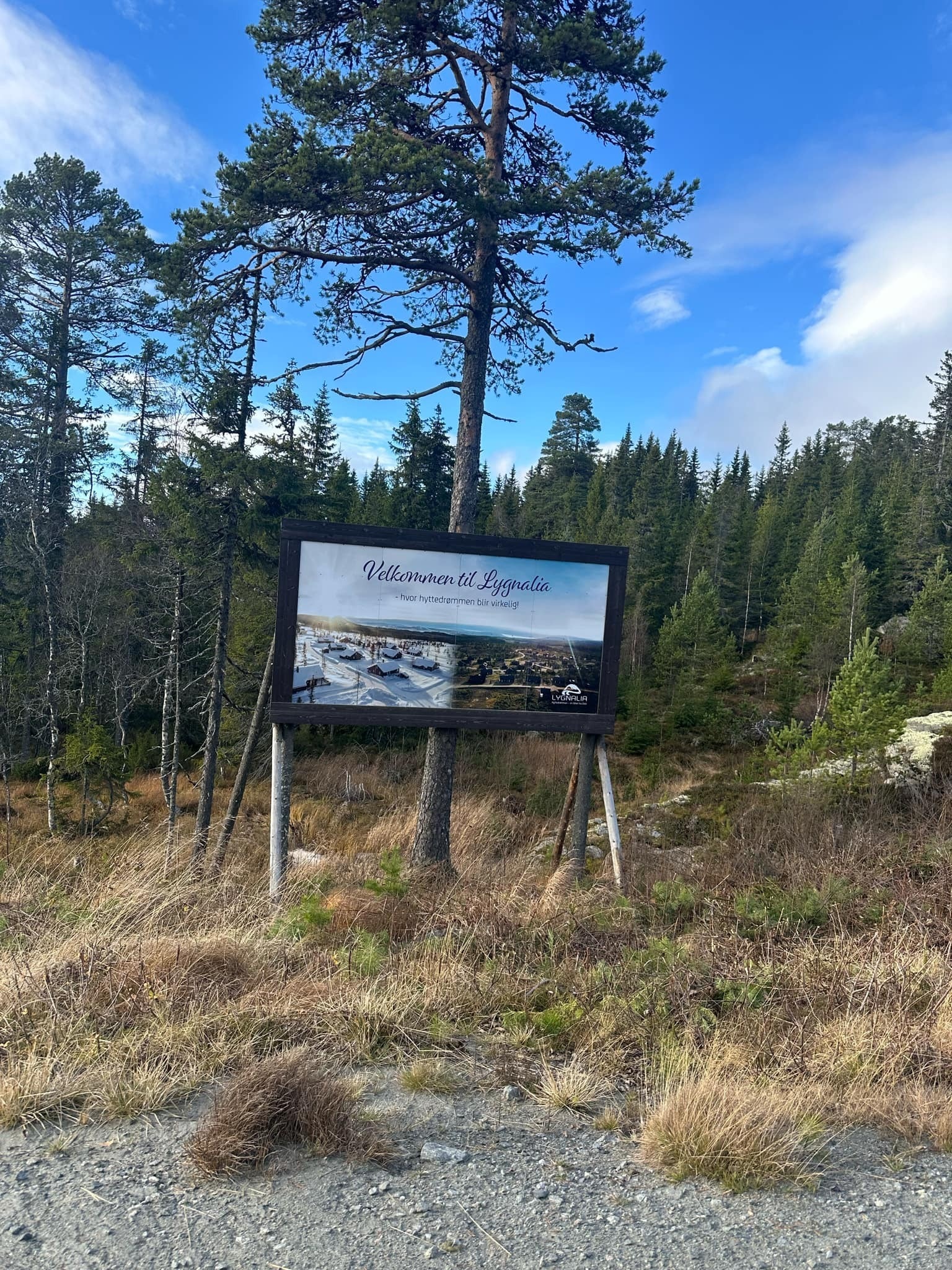 Velkommen til Lygnalia Galleribilde