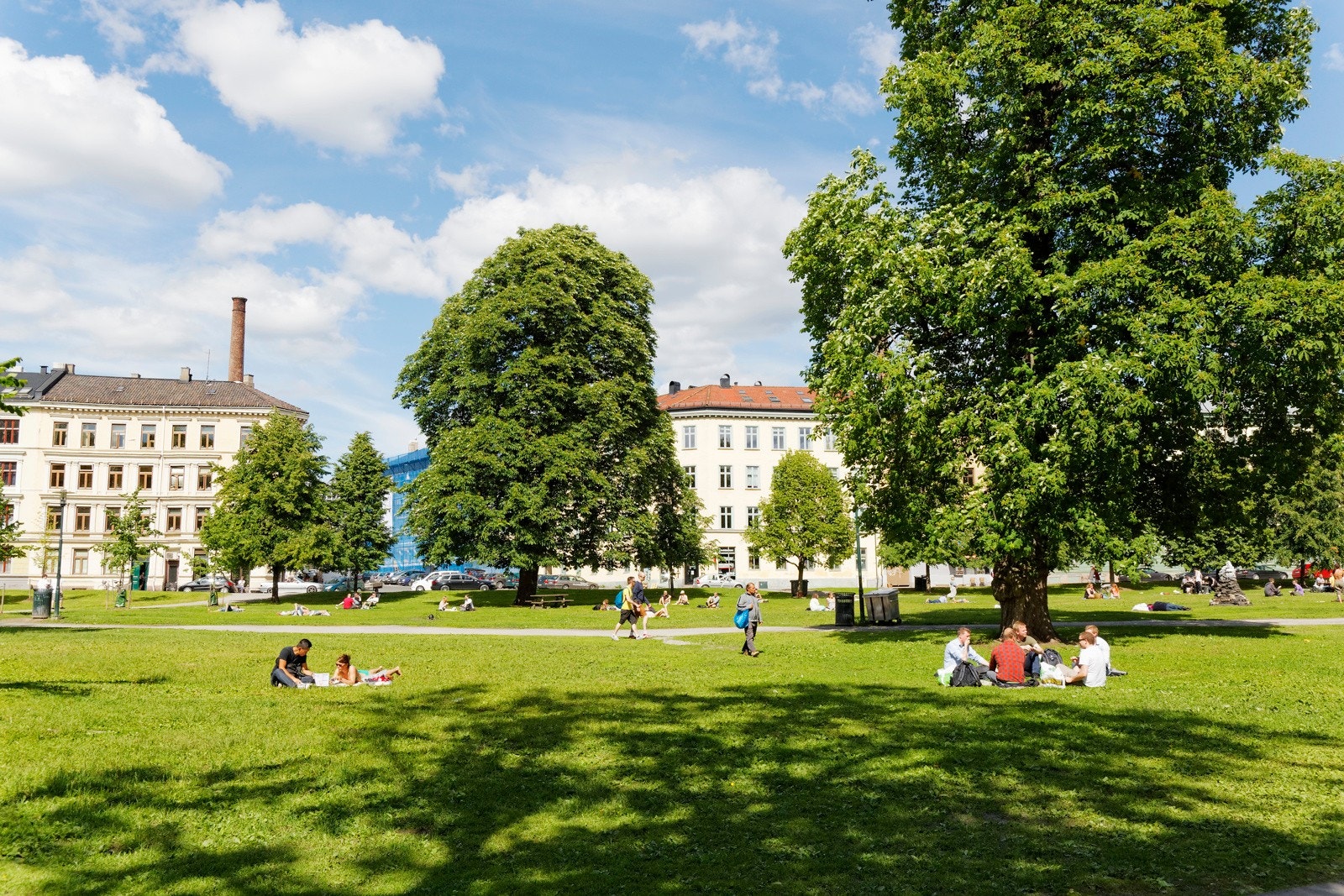 Sofienbergparken Galleribilde
