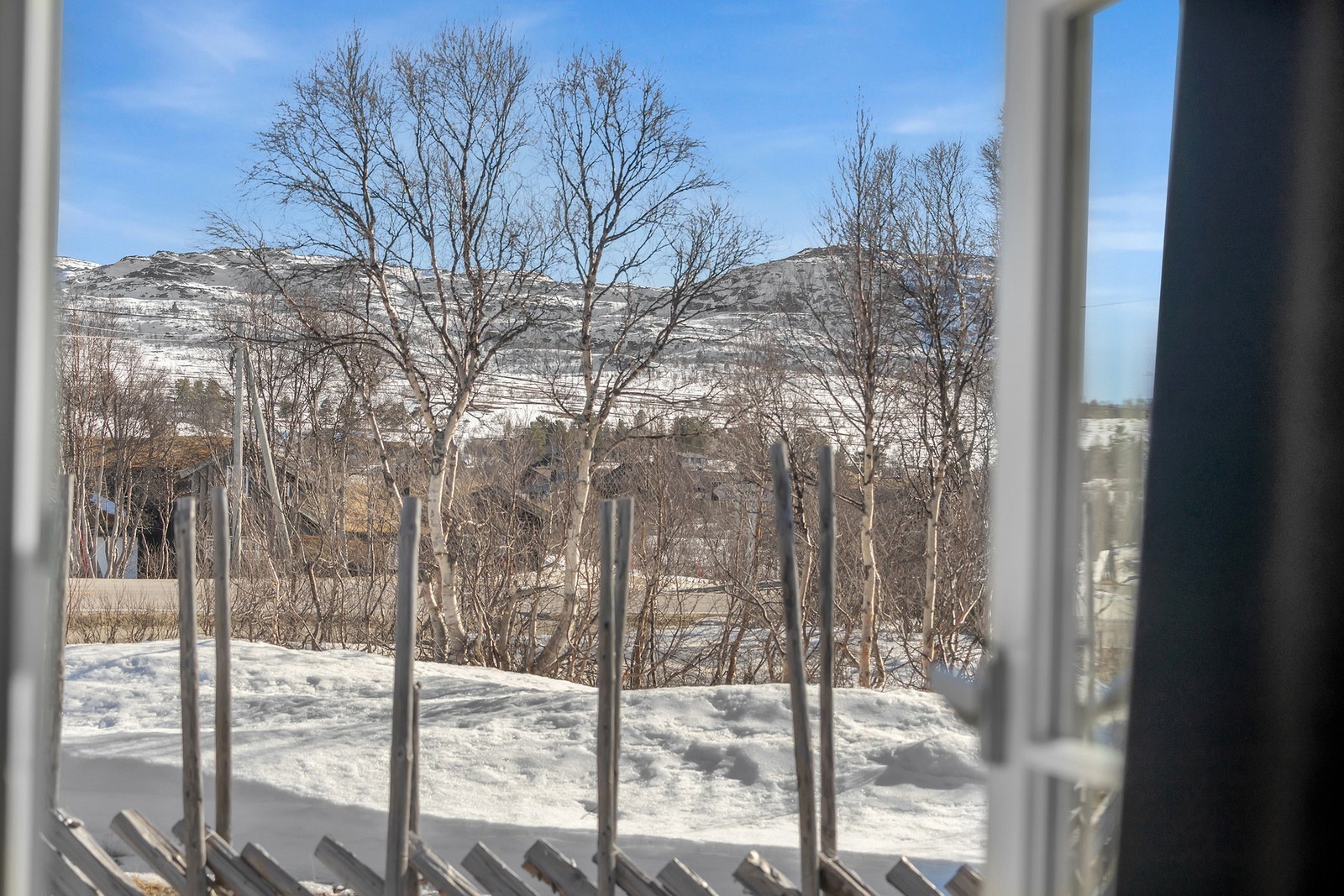 Den flotte naturen er det bare å nyte Galleribilde