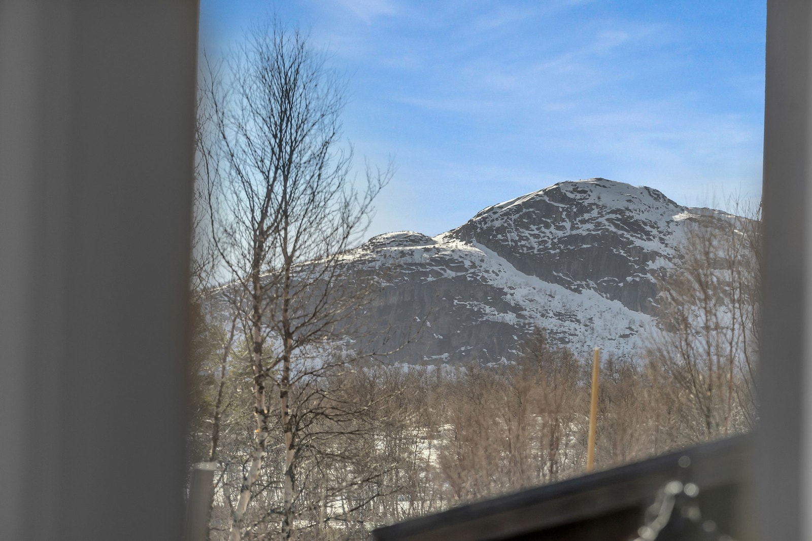 Turmulighetene er mange Galleribilde