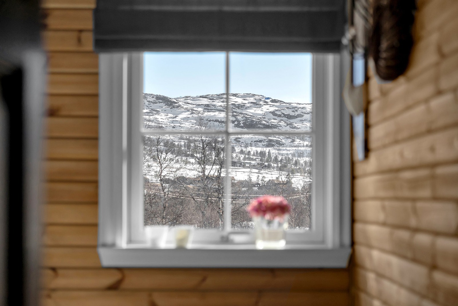 Utsikten taler for seg Galleribilde