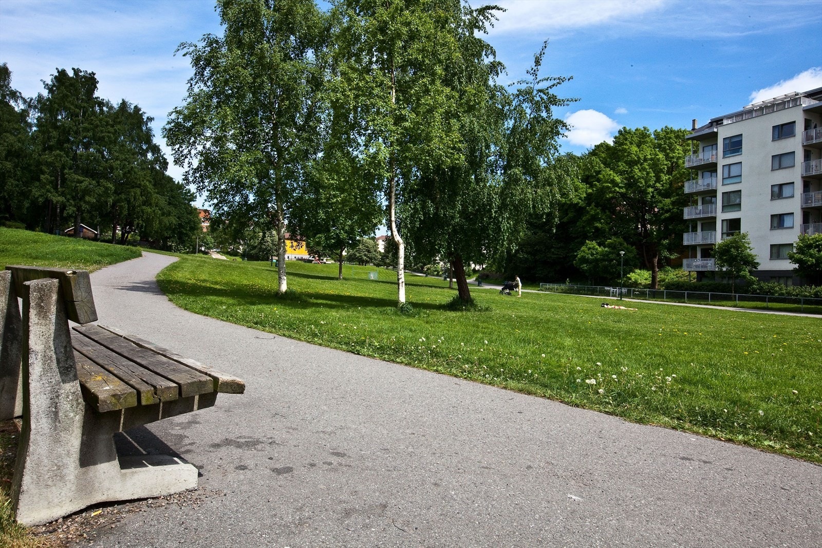 Områdebilde. Galleribilde