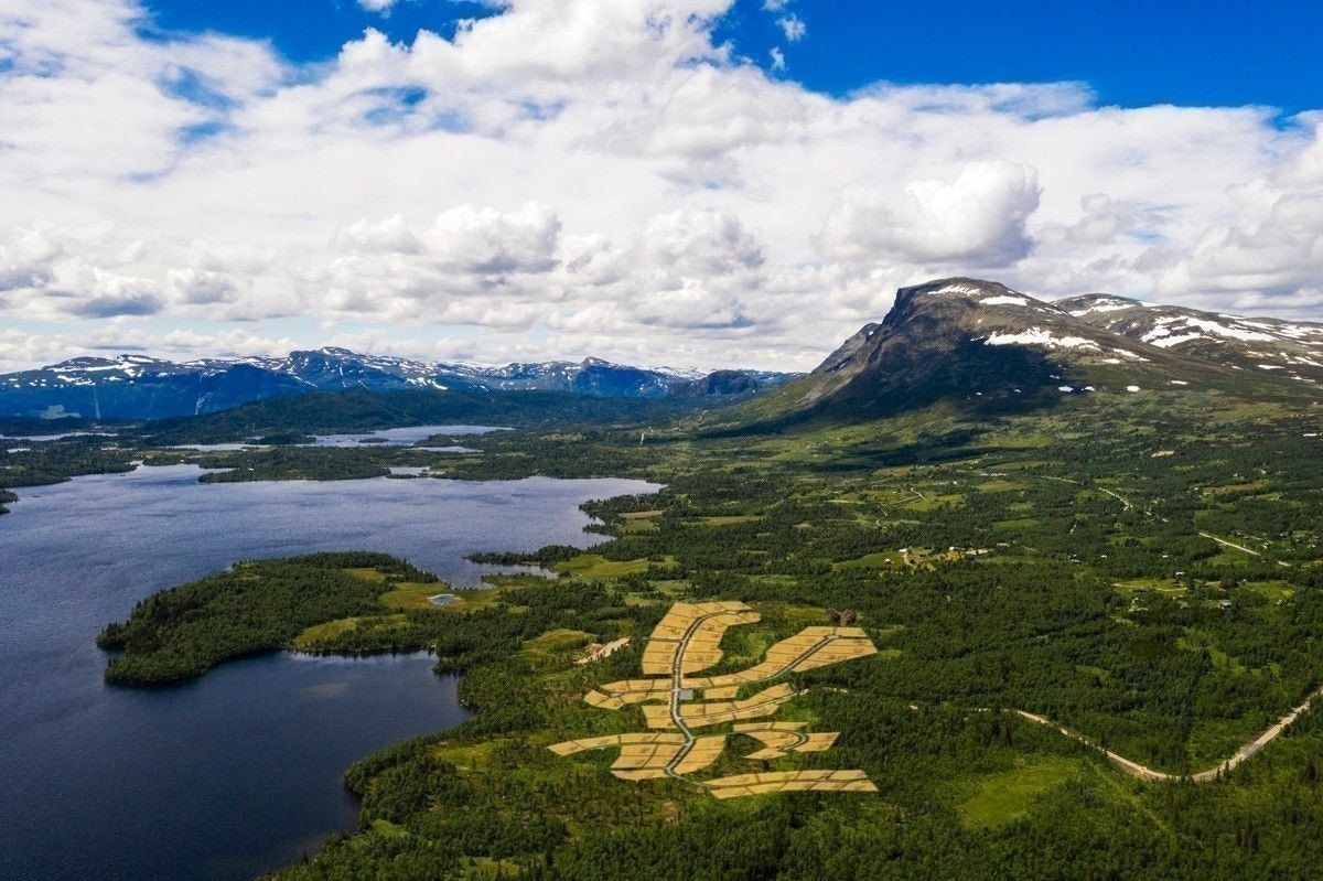 Fantastisk beliggende felt med majestetiske Skogshorn i bakrunn! Galleribilde