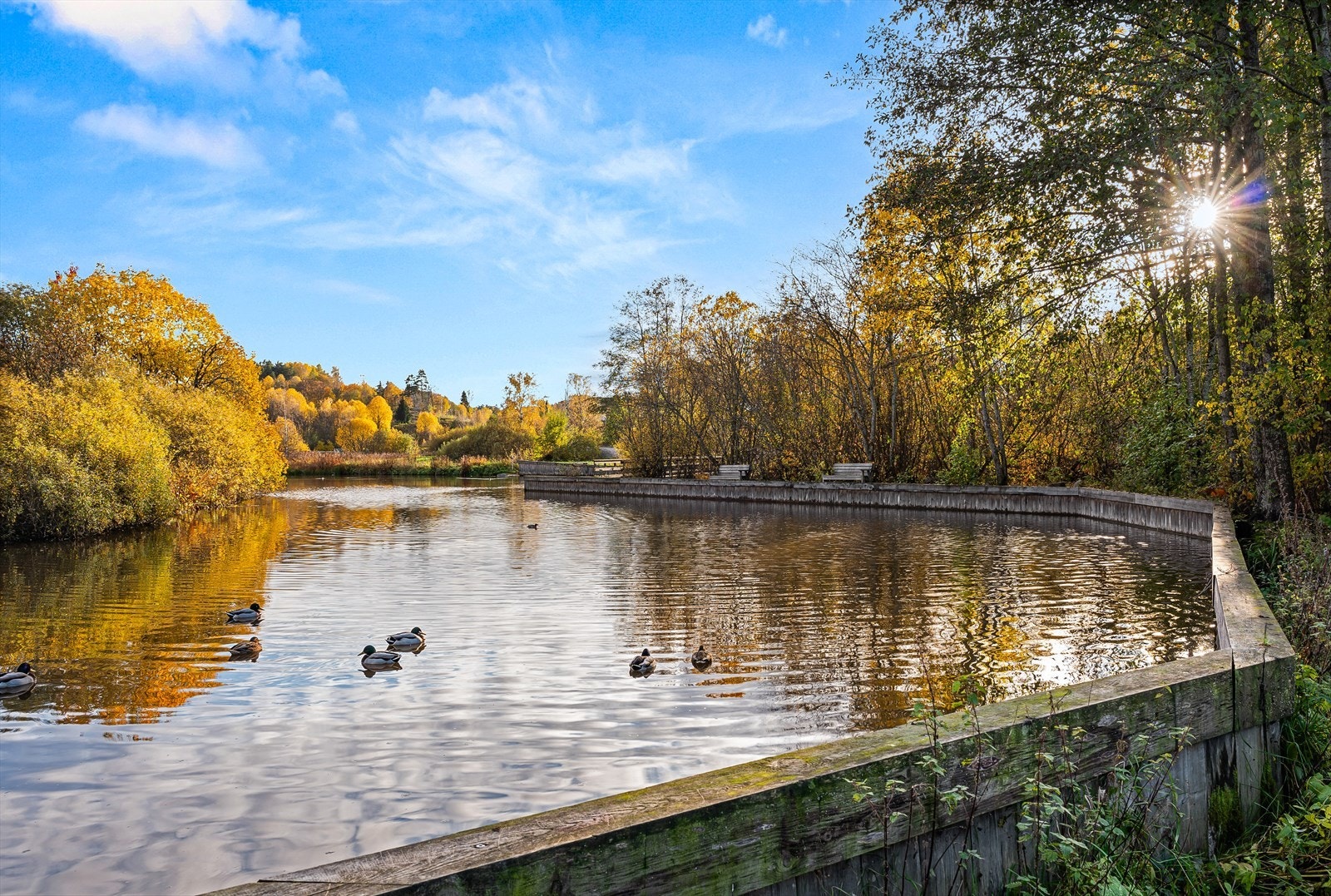 Områdebilde. Galleribilde