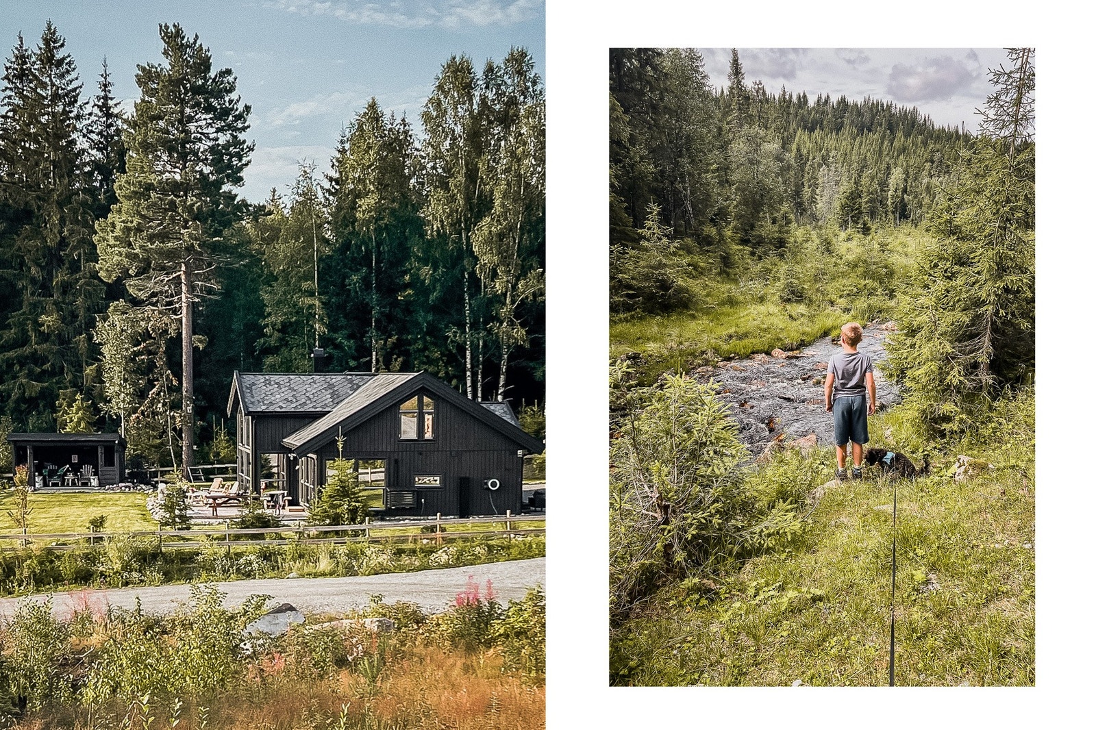 Sommerbilder fra selger. Galleribilde