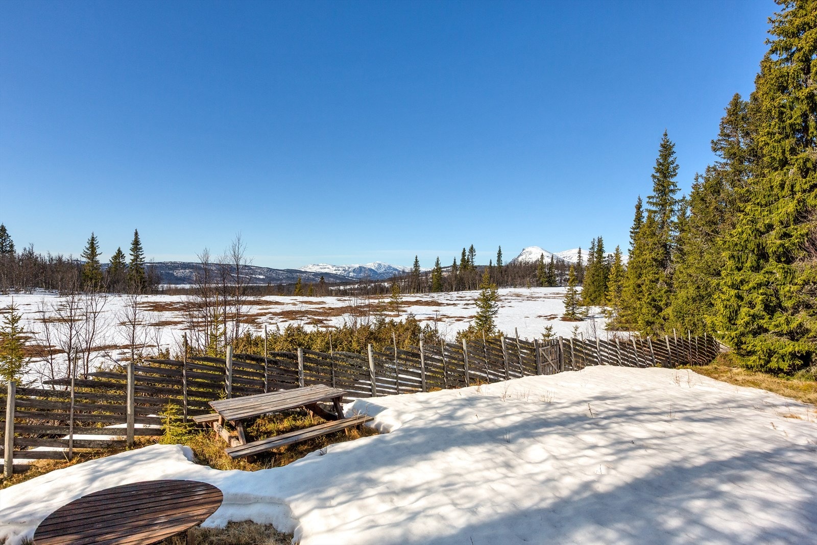 Tomten fremstår som en naturtomt, og ligger grensende inntil friarealer rundt hele eiendommen. Galleribilde