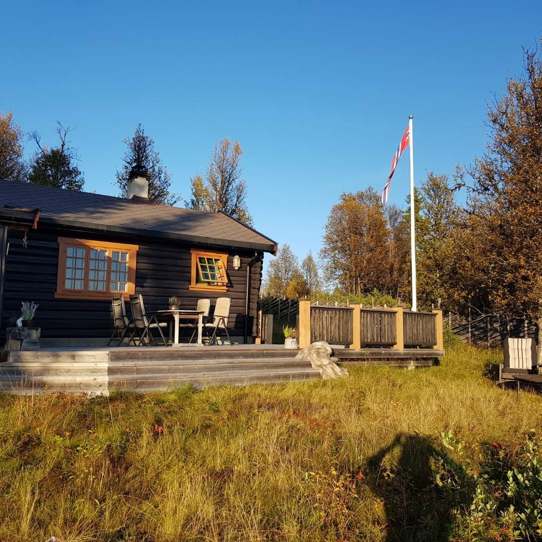 Selgers eget foto. Galleribilde