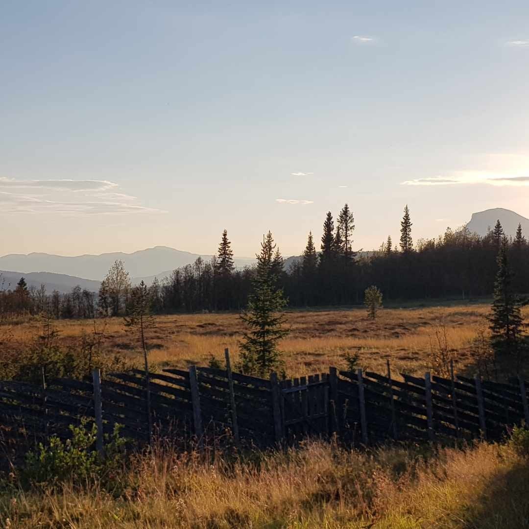 Selgers eget foto i fra området. Galleribilde